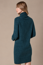 Elara Turtleneck Knit Dress
