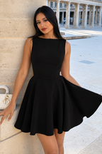 Sleeveless Fit and Flare Mini Dress